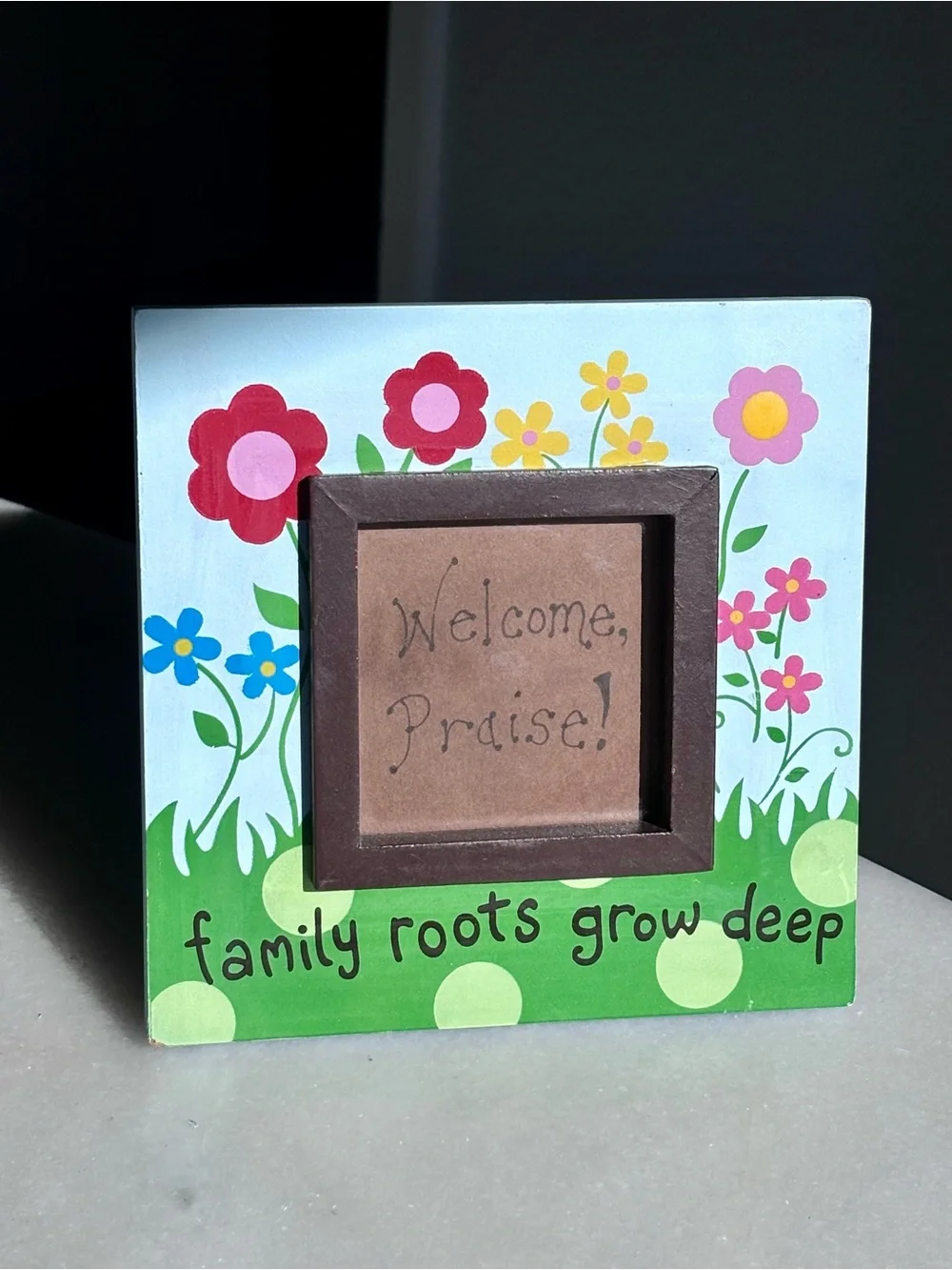 Hand Painted Picture Frame